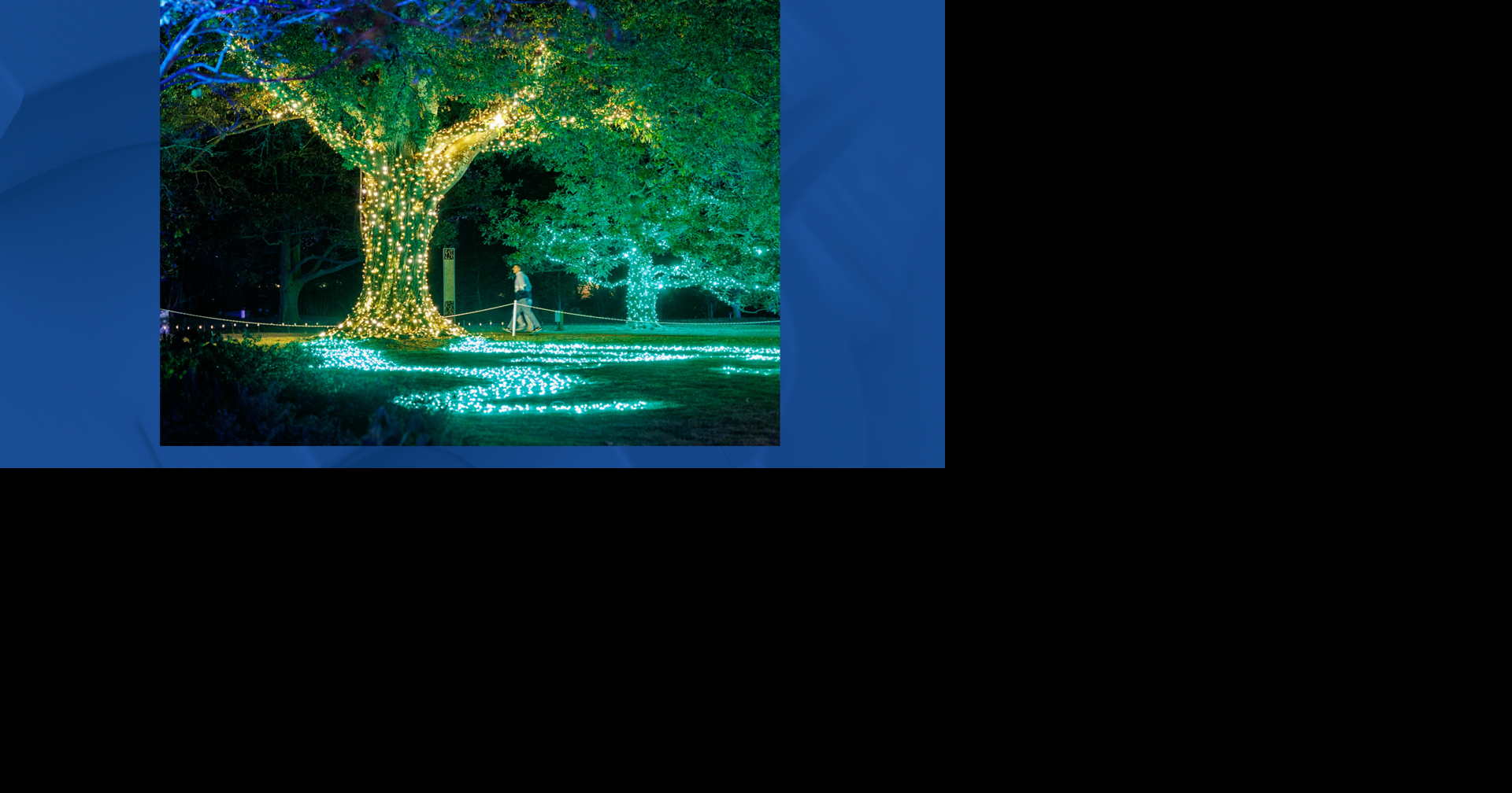 Holiday Wonders returns to Memphis Botanic Garden with twinkling trails