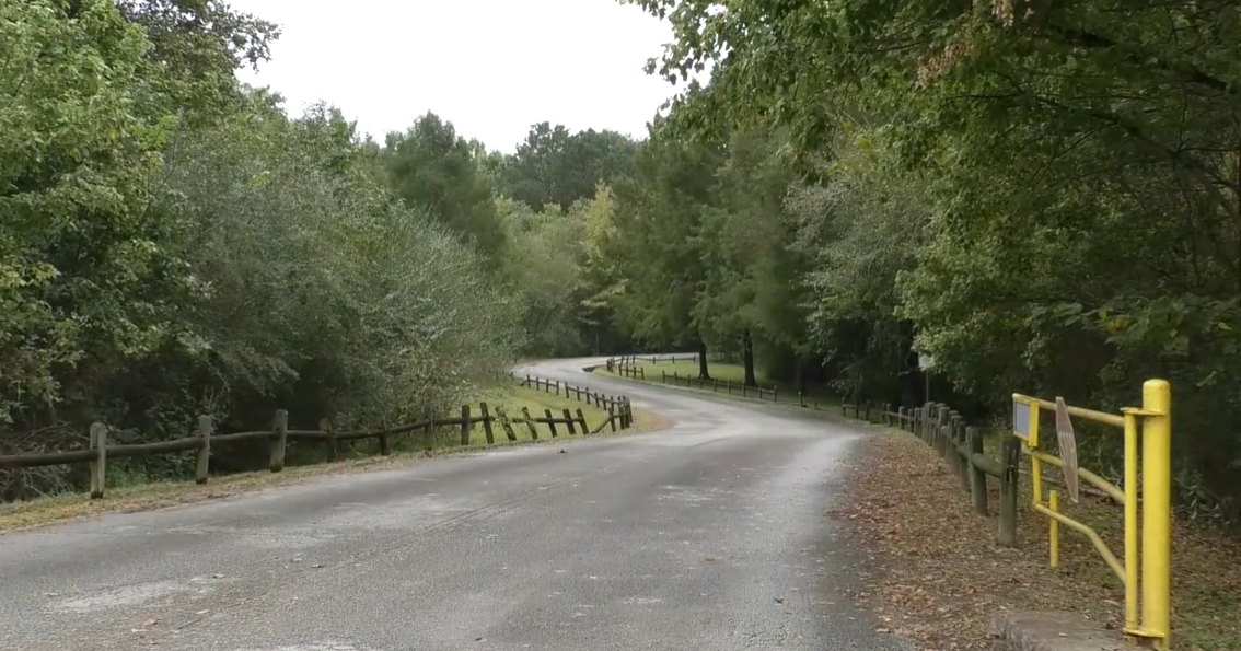 Mussel discovery excites researchers at Cypress Grove Nature Park in West TN