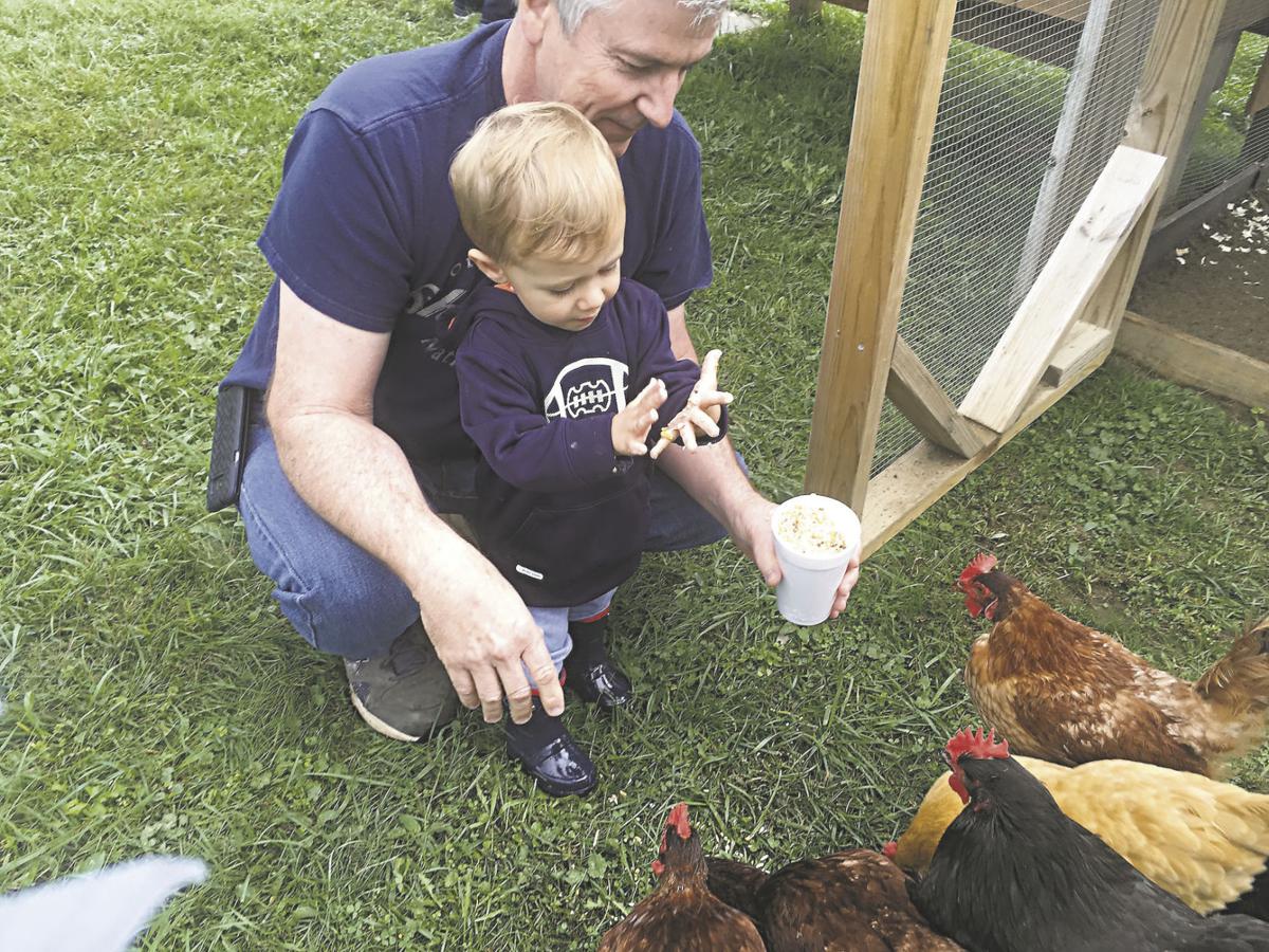 Fowl Play Gold Online
