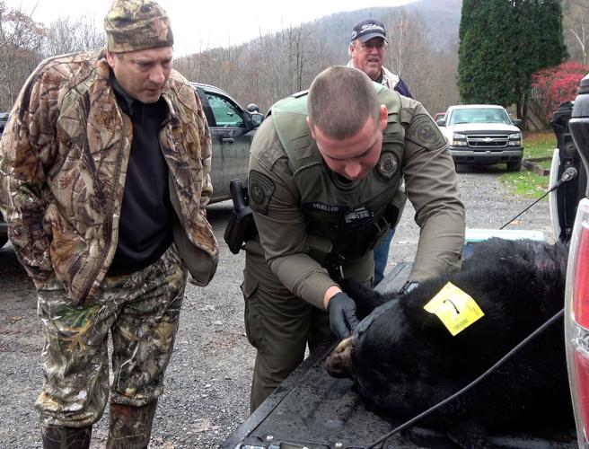 Chances of bagging bear in Lawrence County slim to none | Local News ...