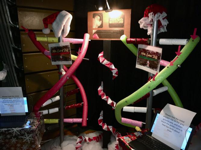 Festival features 'STEAM' tree, display, Local News