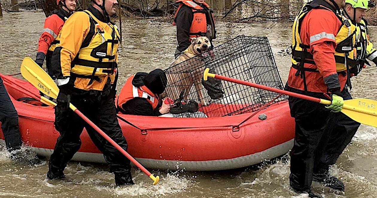 Firefighters rescue Scott Township residents from flooding - Vimarsana News