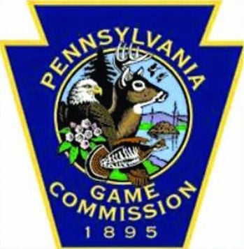 Pa. Game Commission suspects bird flu in dead snow geese | Local News ...