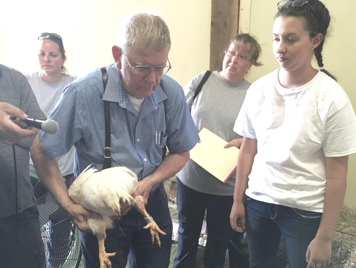 WATCH VIDEO Poultry judge shares wisdom with new 4H club News