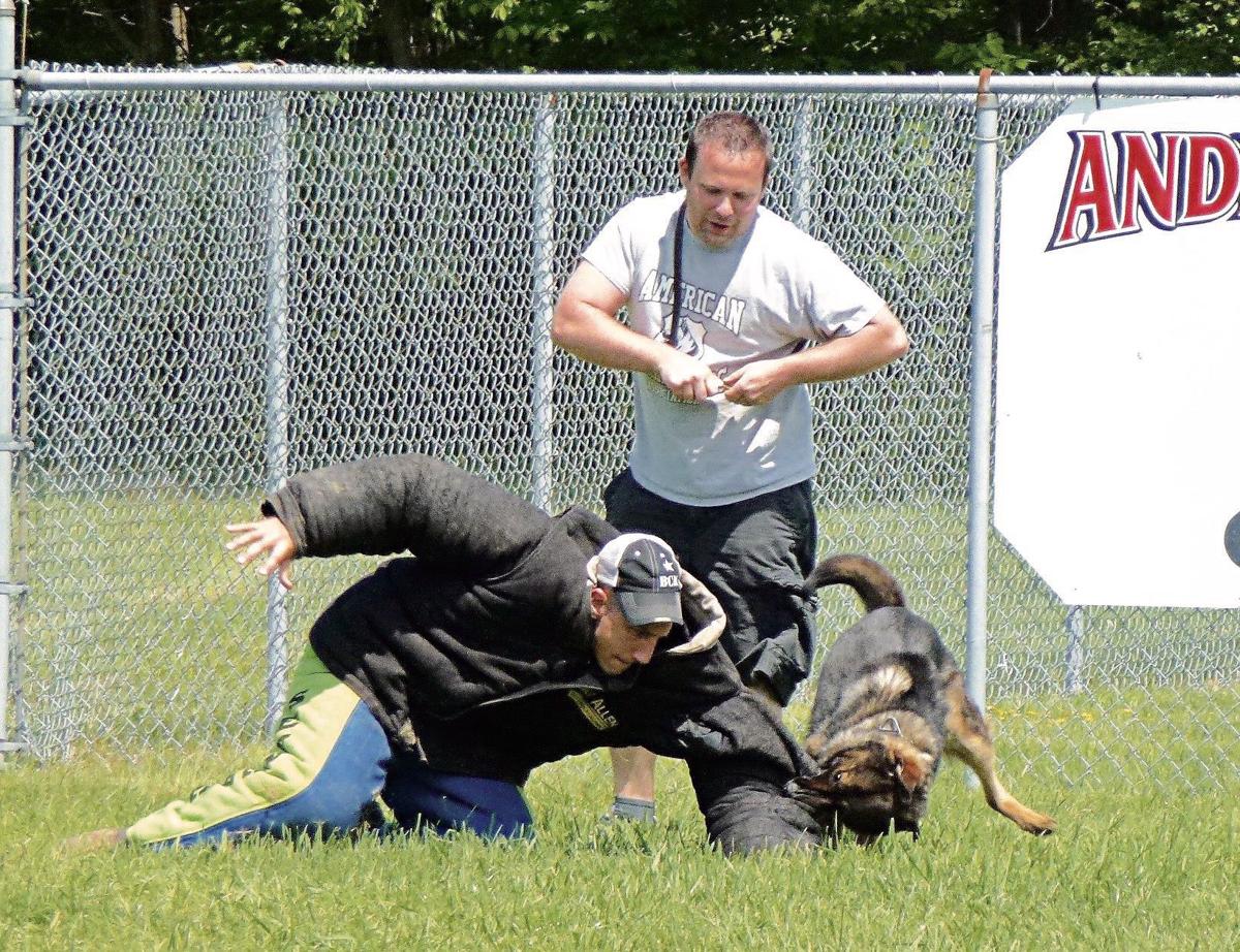 Police Dogs Unite In Lawrence County For Training News
