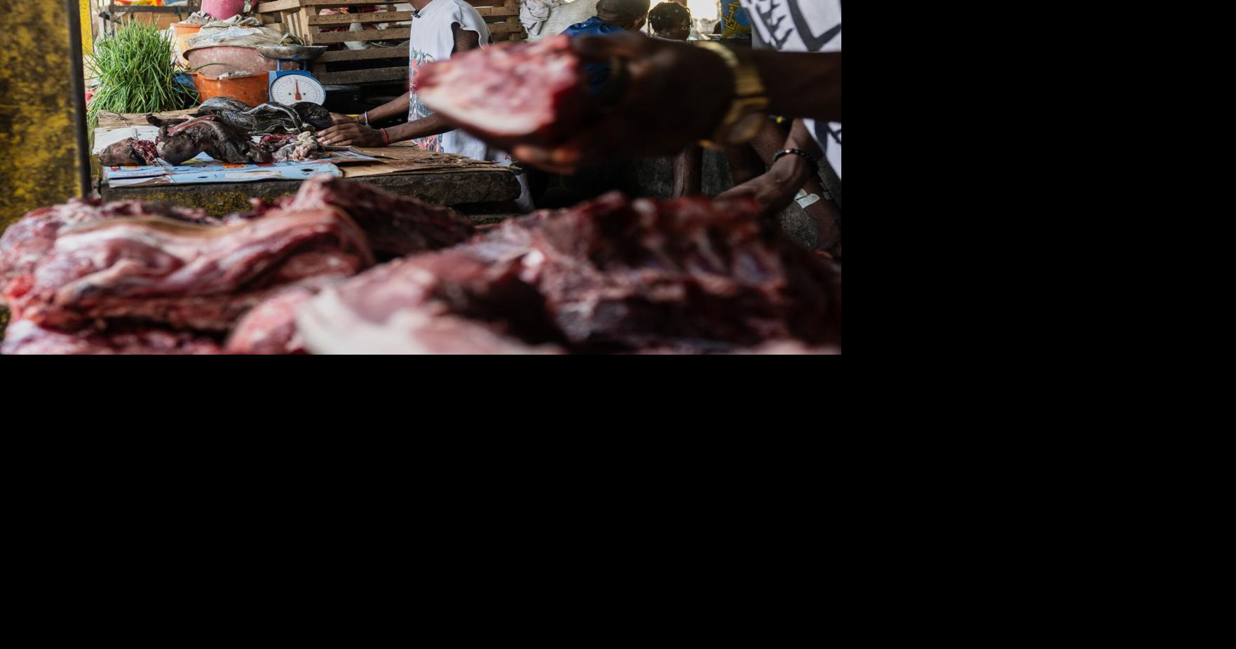 As Ebola scourges Congo, experts warn of link to eating wild animals | National