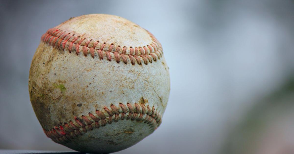 Local baseball stars earn all-state selection