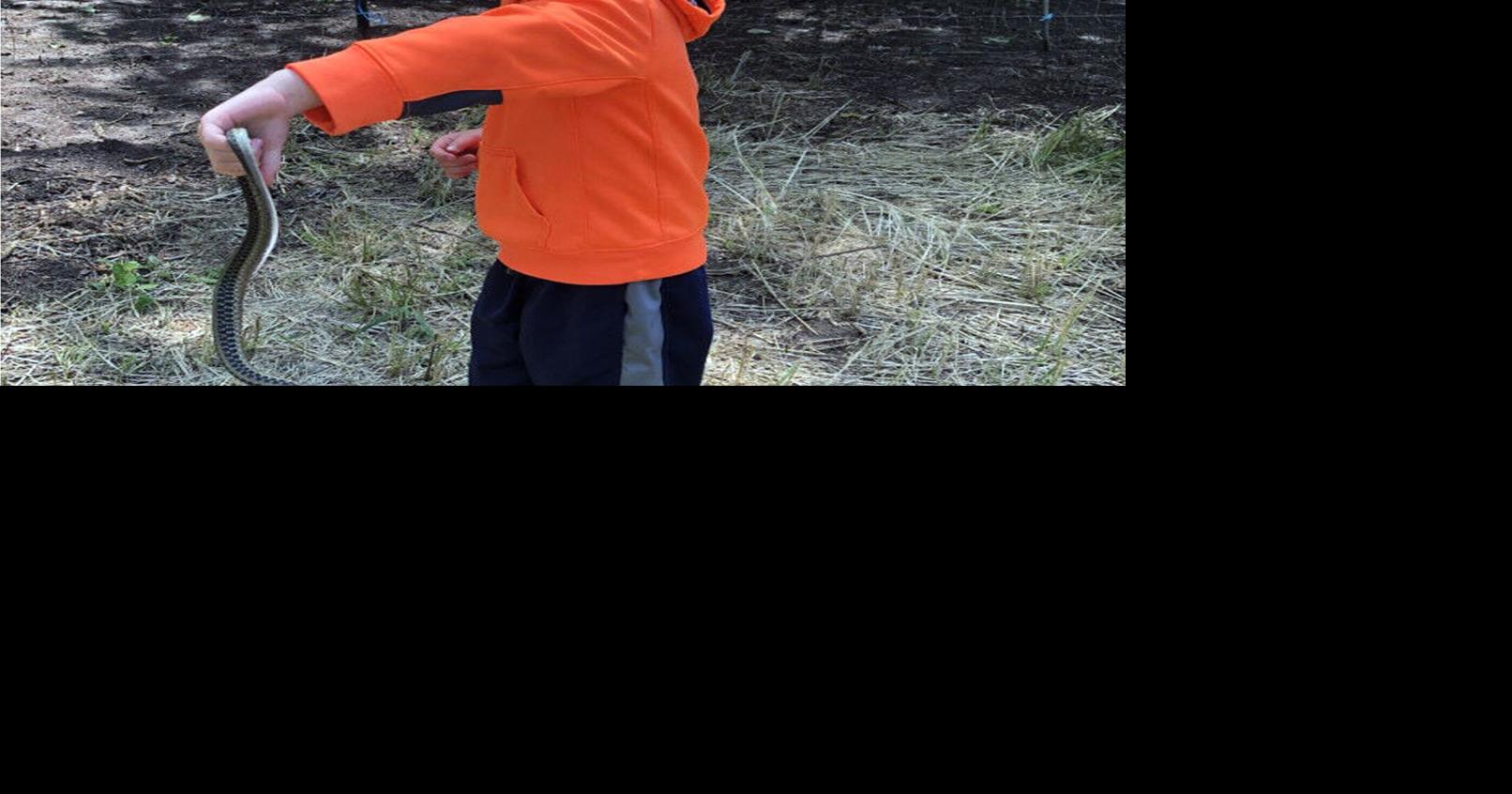 Wilmington first grader in national Jr. Ranger competition | Local News ...