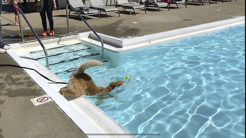 Neshannock Swimming Pool Assn.