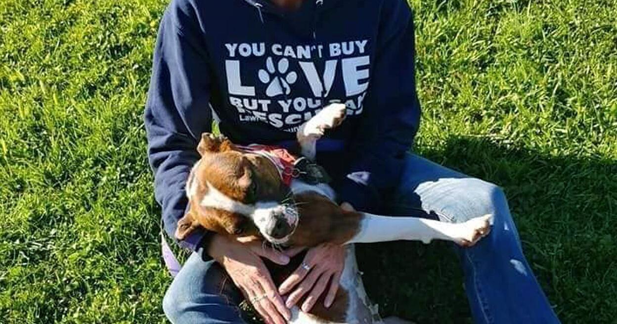 Homeless to Home to remember former shelter employee - Vimarsana News