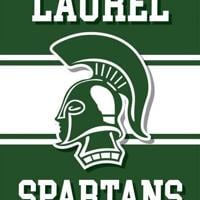 Laurel roof project to be finished in August