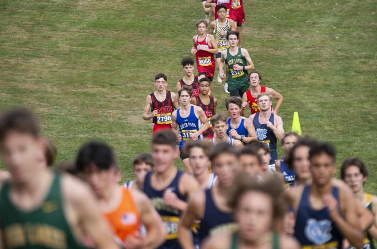 2023 WPIAL cross country championships Local Sports