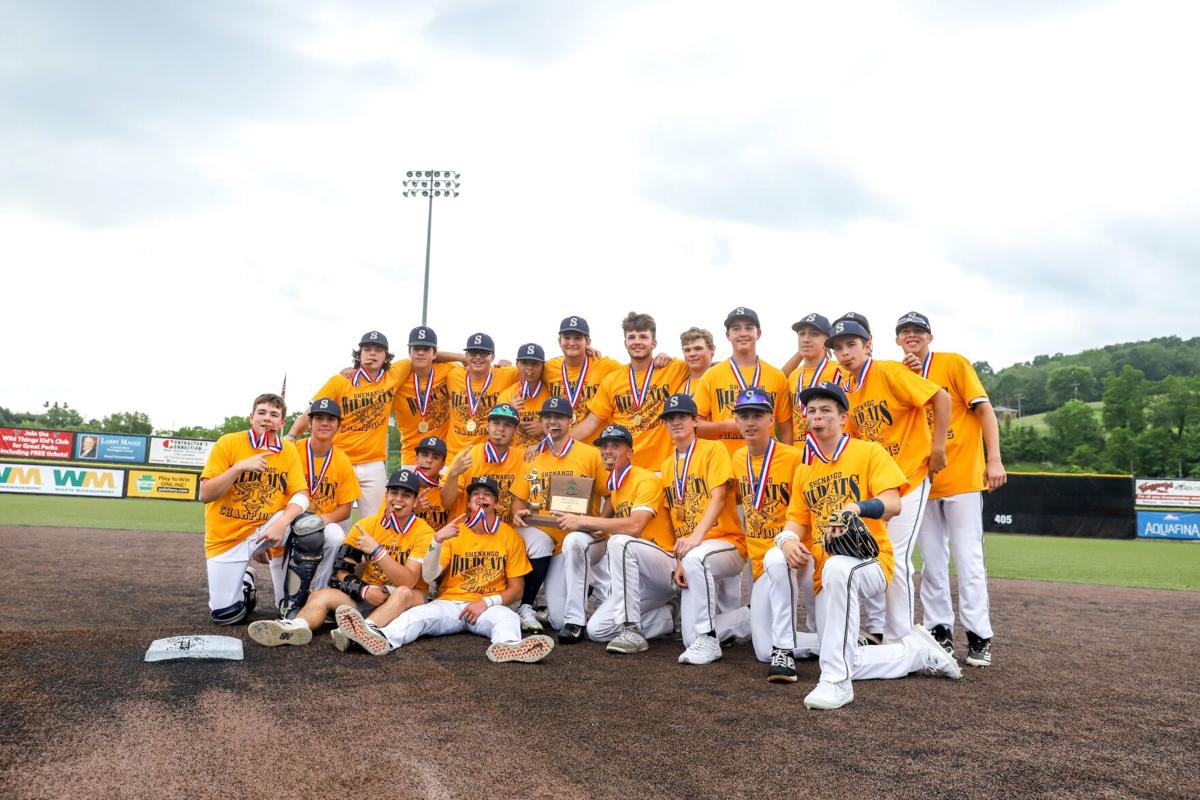 Orwig_NewCastleNews_2021-6-1_WPIALsShenangoBaseball-62.jpg