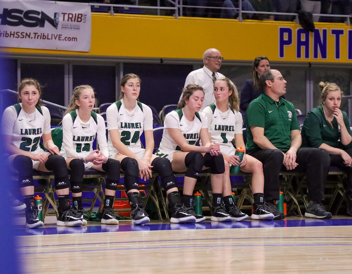 Laurel bench