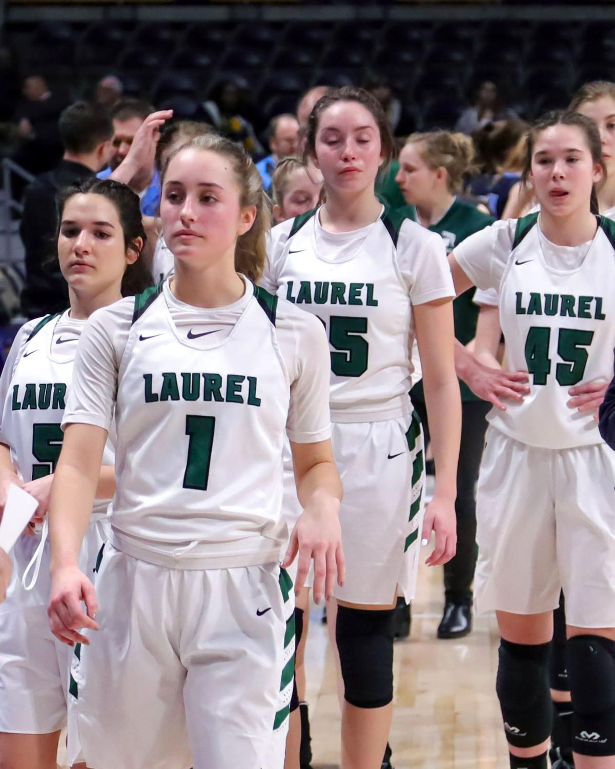 Laurel
