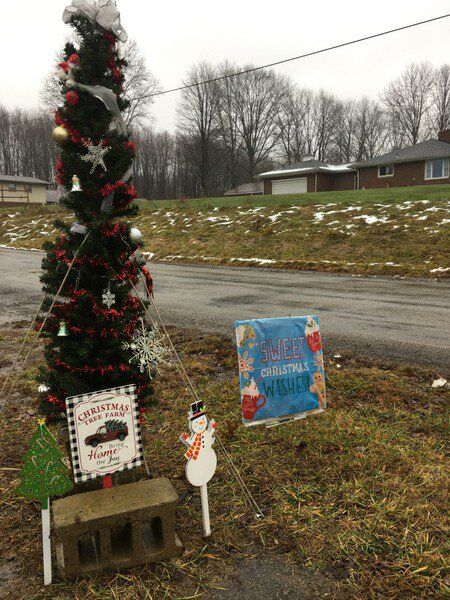 Roadside tree brings holiday spirit to Pine Glen - Vimarsana News