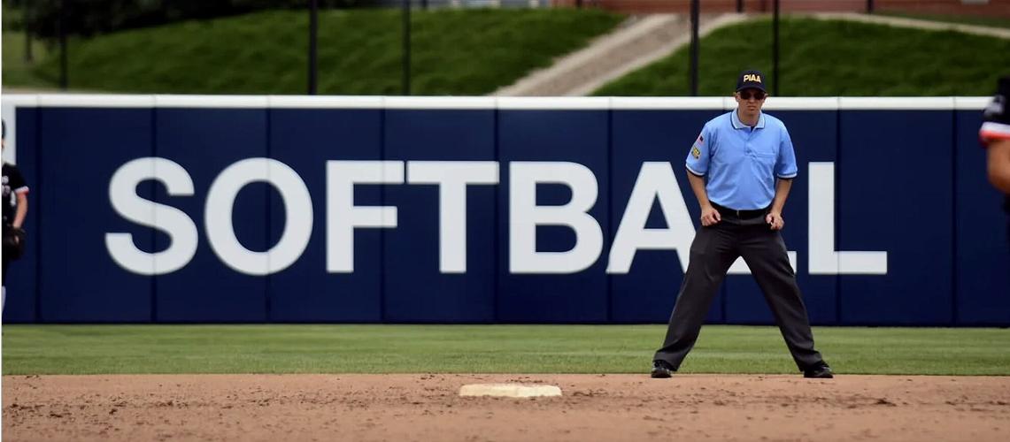 Local PIAA official umpires state championship and cheers on Union