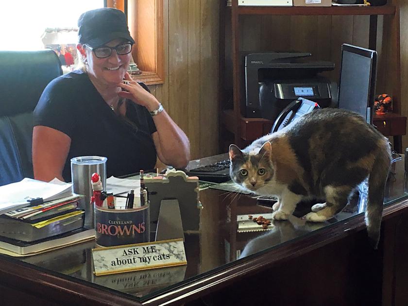 Cause For Paws Local Women Answer Call To Wild Saving Feral Cat