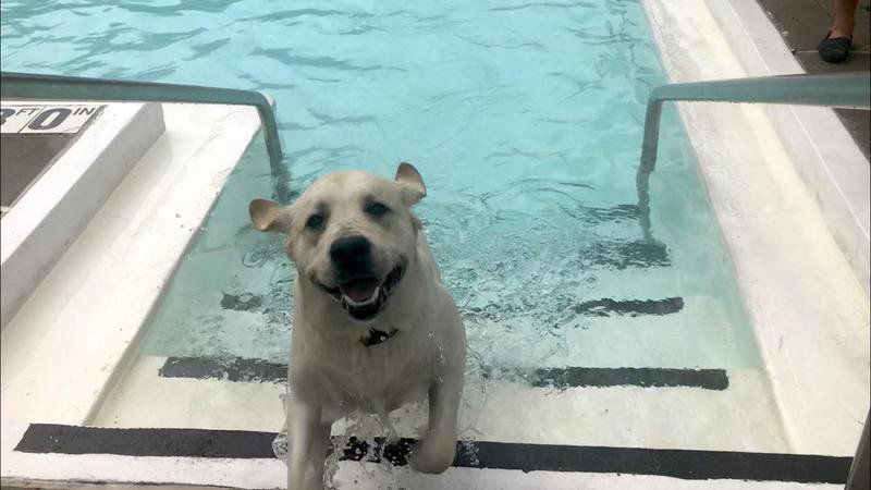 Neshannock Swimming Pool Assn.