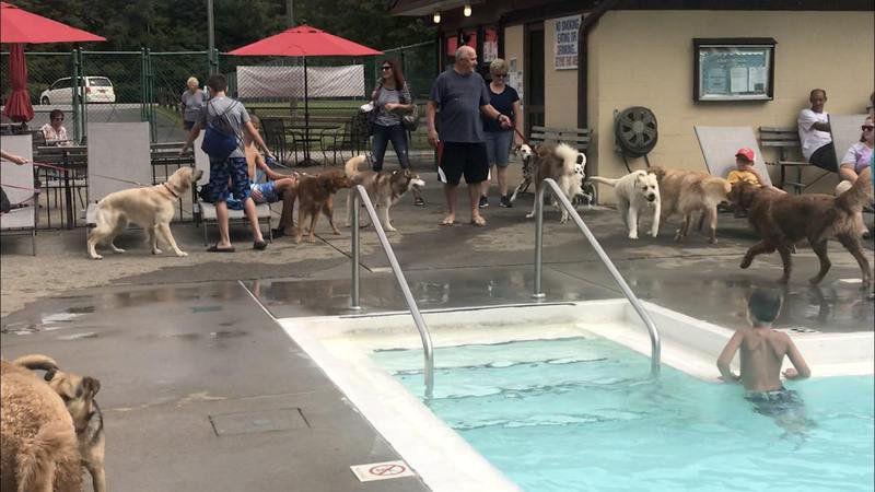 Neshannock Swimming Pool Assn.