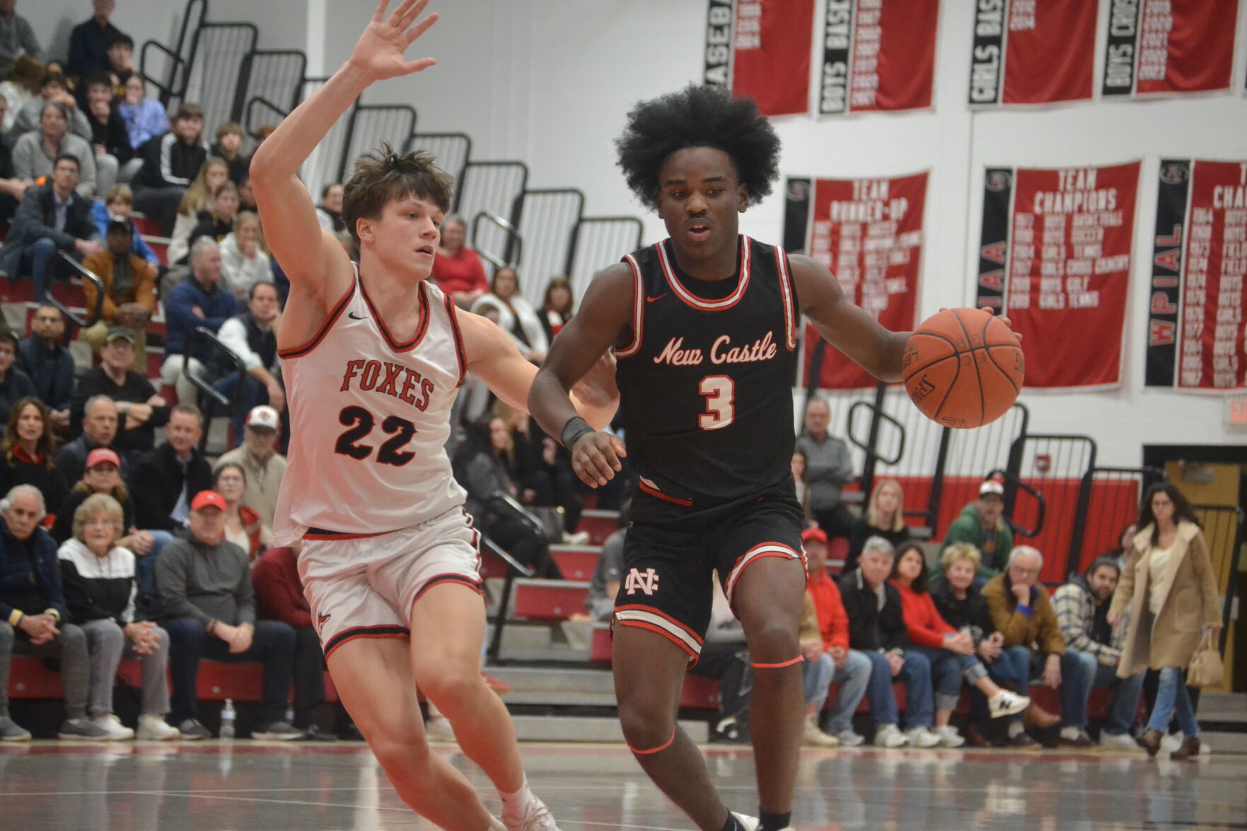 New Castle Ties First Place in WPIAL Boys Basketball Section BVM Sports