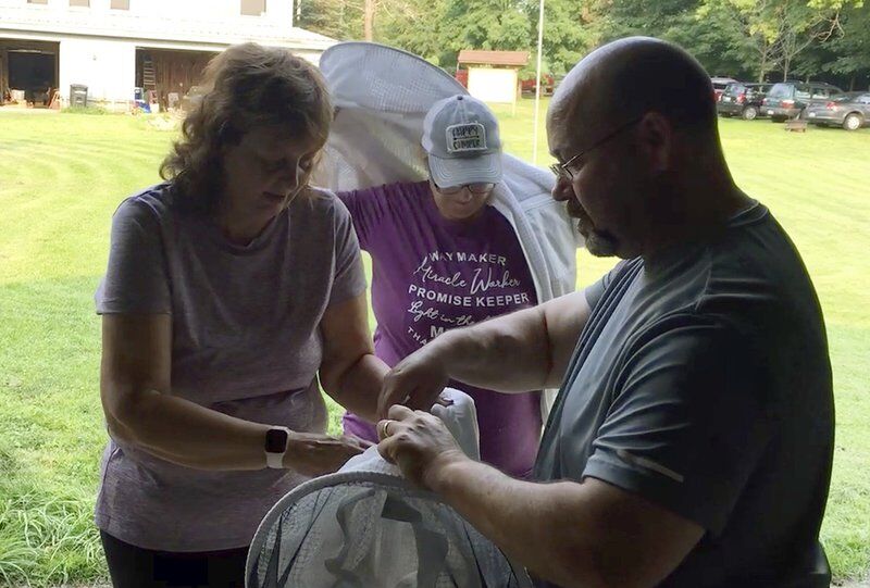 Beekeeping workshop creates hive minds