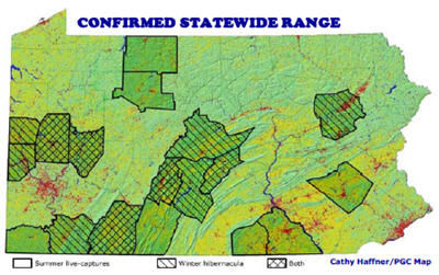 Bat Issue Puts Proposed Mine On Hold 