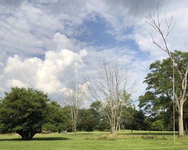 Bessemer park on hiatus as it prepares for renovations News