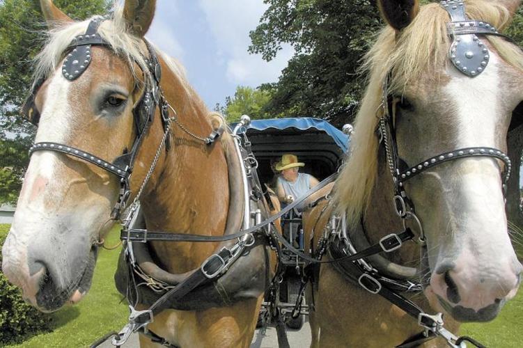 BIG DAY OUT Enon Valley Community Day Archives