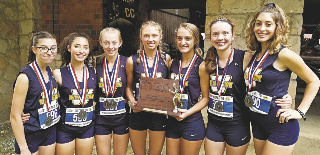 Wilmington's Mason wins District 10 cross country crown; Lady