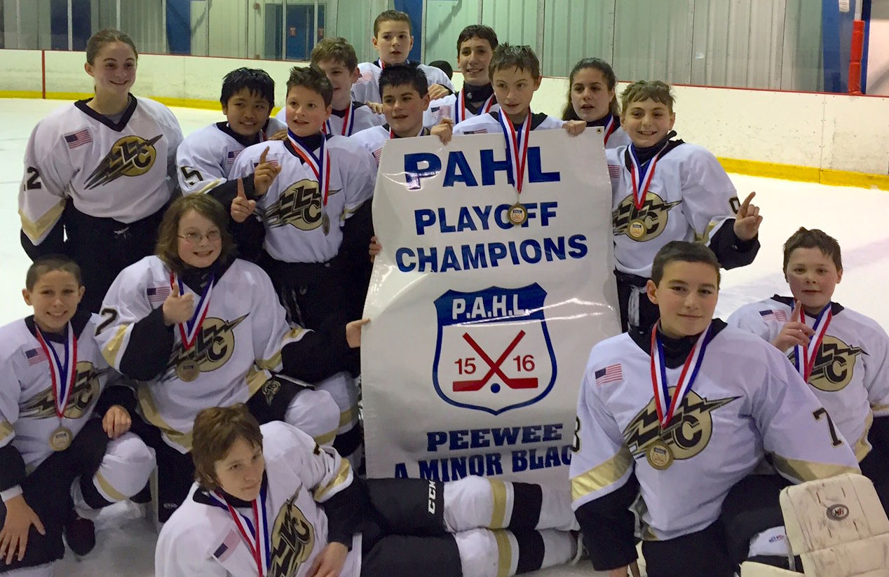 Pee Wee hockey team wins Pittsburgh league crown Local Sports ncnewsonline