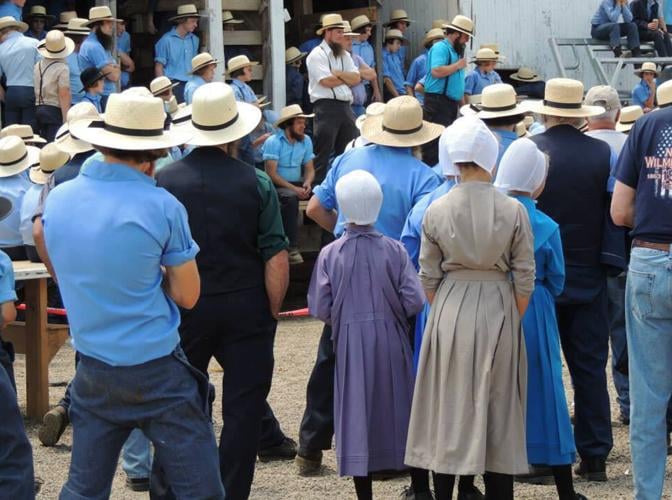 Amish prepare for annual hospital benefit auction Local News
