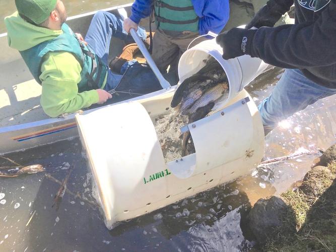 Trout stocking to begin this month in Lawrence County | Local News ...