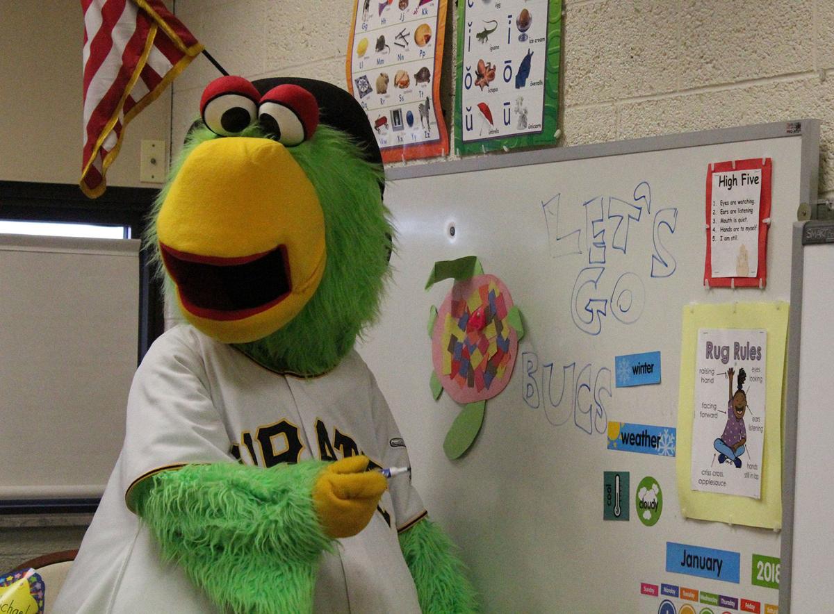 Pirate Parrot Visits Union Memorial Elementary News Ncnewsonline Com 1 transparent png illustrations and cipart matching pittsburgh pirates mascot. pirate parrot visits union memorial
