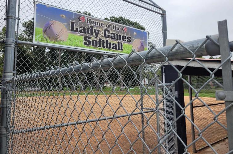 Turf softball field expected to cost 800K to 980K Local News