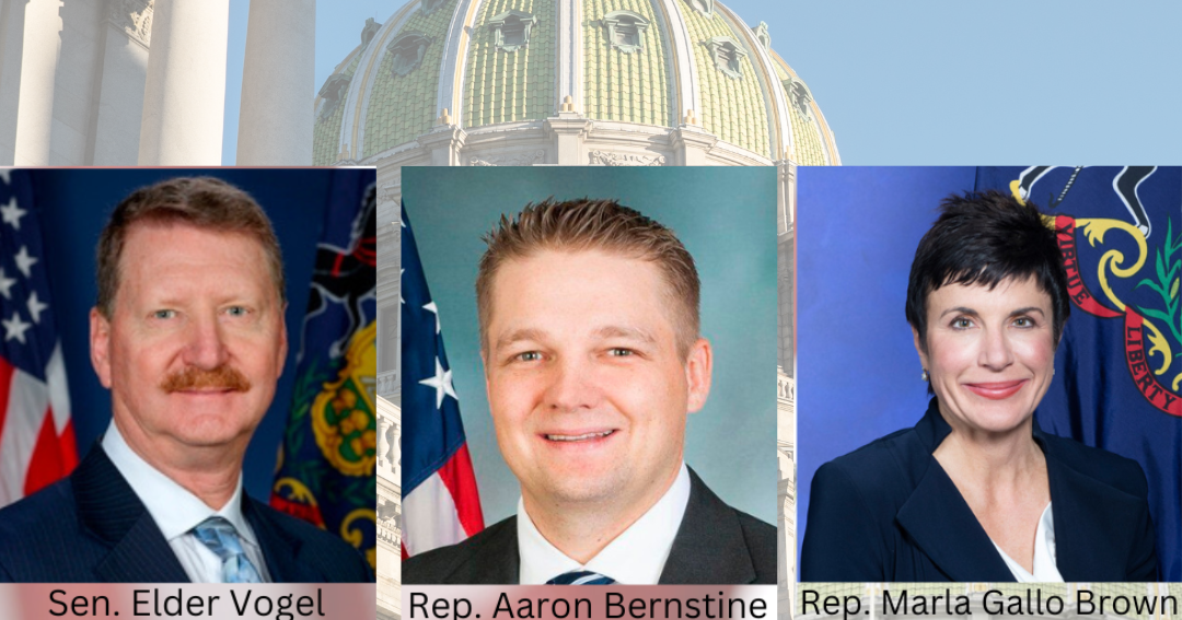 County incumbents cruise in primary - Vimarsana News
