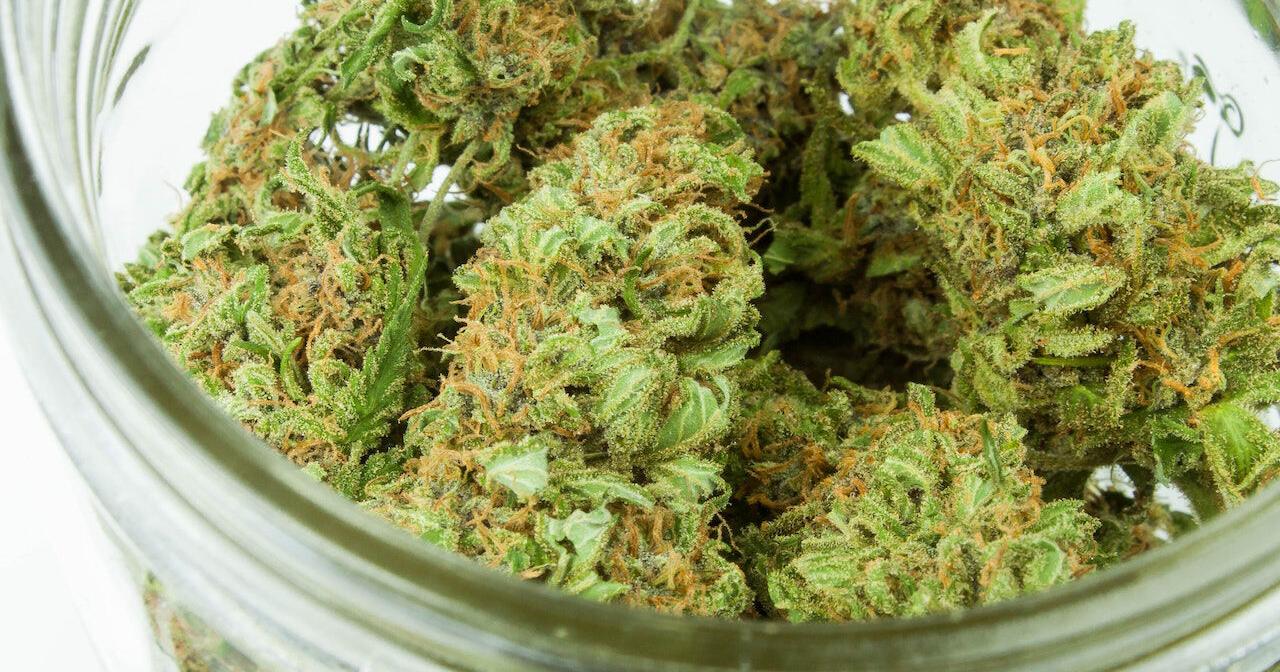 Marijuana testing oversight would enhance under bill that passed Pa. House - Vimarsana News