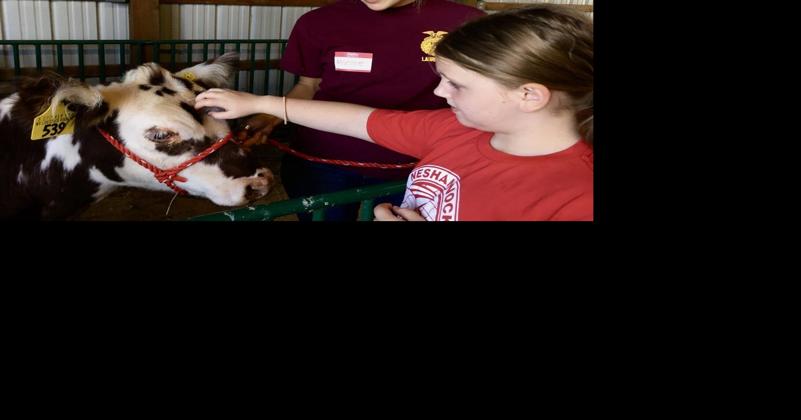 City kids learn farm life at ag encounter | Local News | ncnewsonline.com