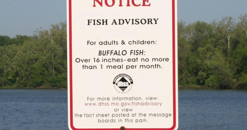 Editorial by The Joplin (MIssouri) Globe | 'Teach a man to fish' proverb needs updating - Vimarsana News