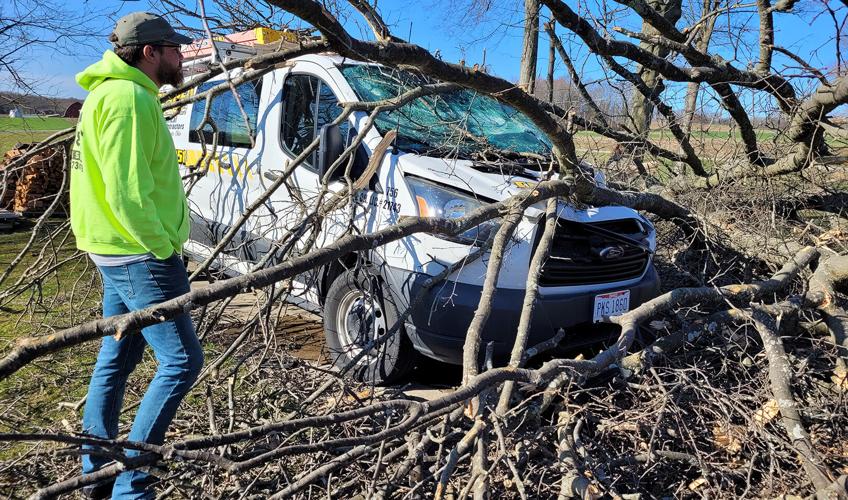 Strong winds bring down trees, cause outages in county | Local News ...