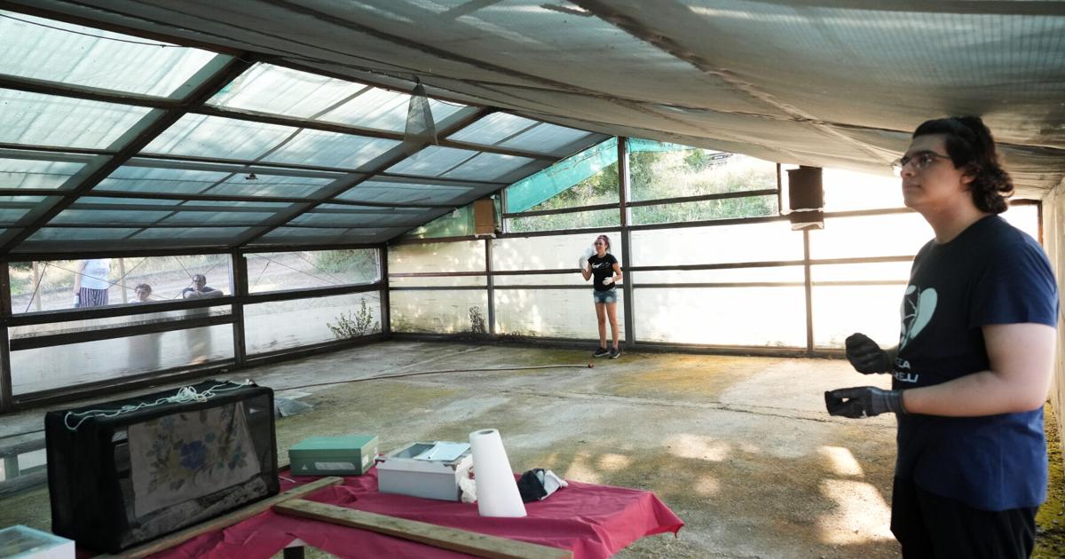Volunteers work to protect displaced bats at an Italian Bat Conservation, in photos 1 of 10 Getting your Trinity Audio player ready... Copyright 2026 The Associated Press. All rights reserved. This material may not be published, broadcast, rewritten or redistributed without permission.