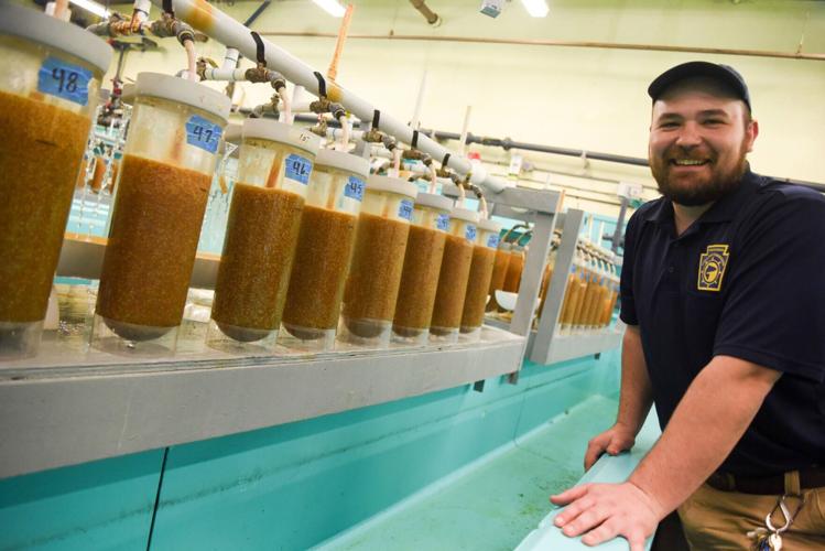 Eggs-citing arrival at Willow Creek Hatchery: 80,000 fertilized