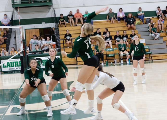 Volleyball teams set sights on WPIAL title Local Sports