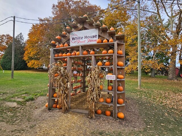 Cruisin': White House Fruit Farm 'berry' popular in fall and year ...