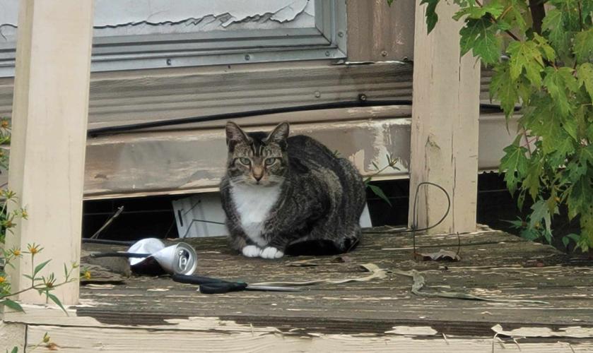 New management takes over troubled Pulaski mobile home park Local