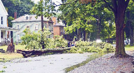 Update: Storm downs trees, knocks out power | News | ncnewsonline.com