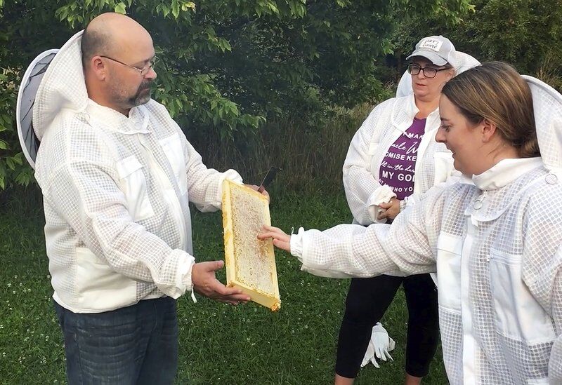 Beekeeping workshop creates hive minds
