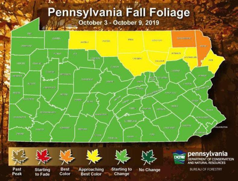 Pennsylvania offers nation's longest fall foliage season Local News