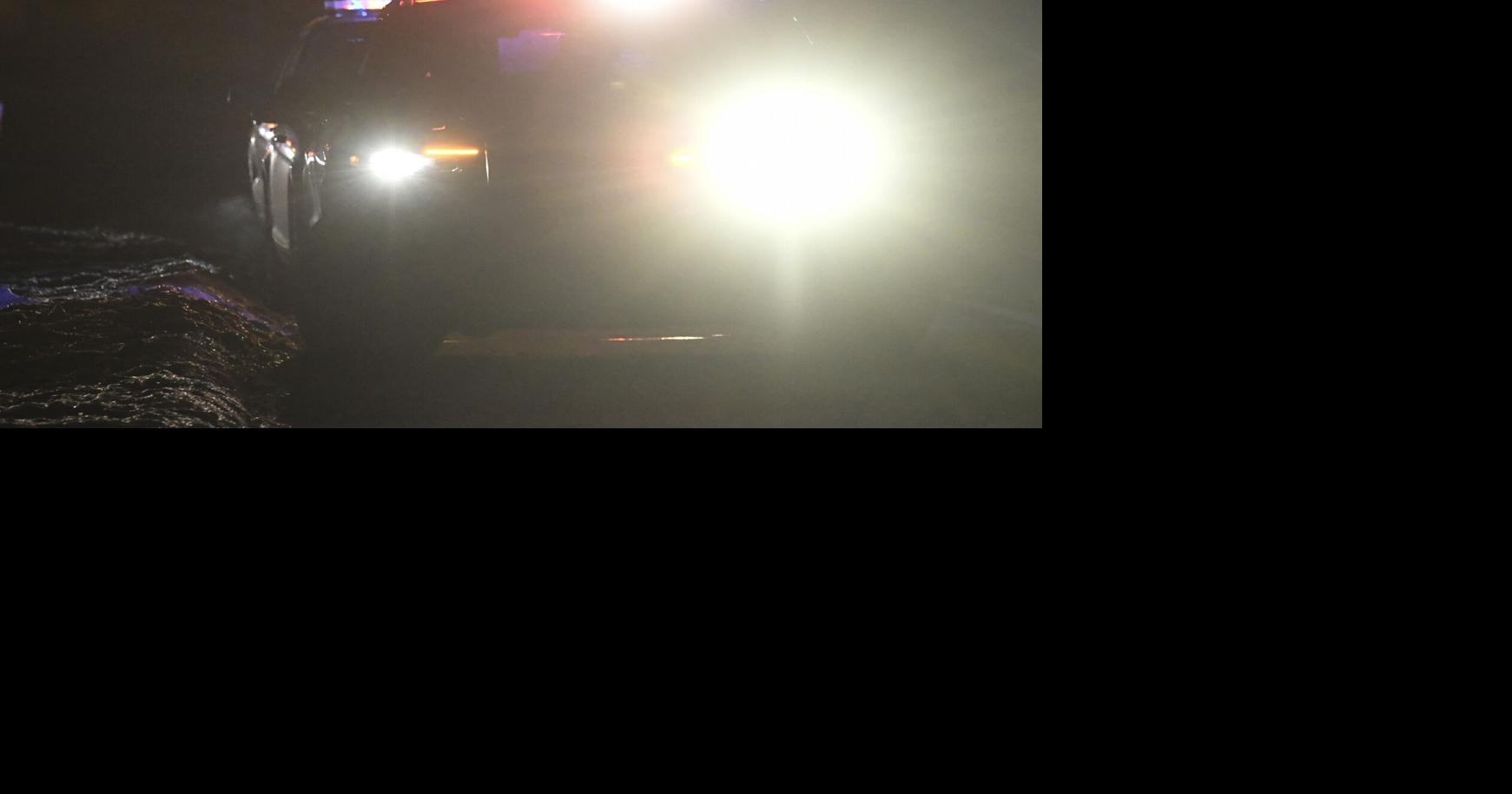 3 monkeys flee near Danville after crash Local News