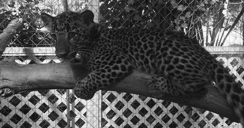 PETA seeks investigation of local facility | Local News ...